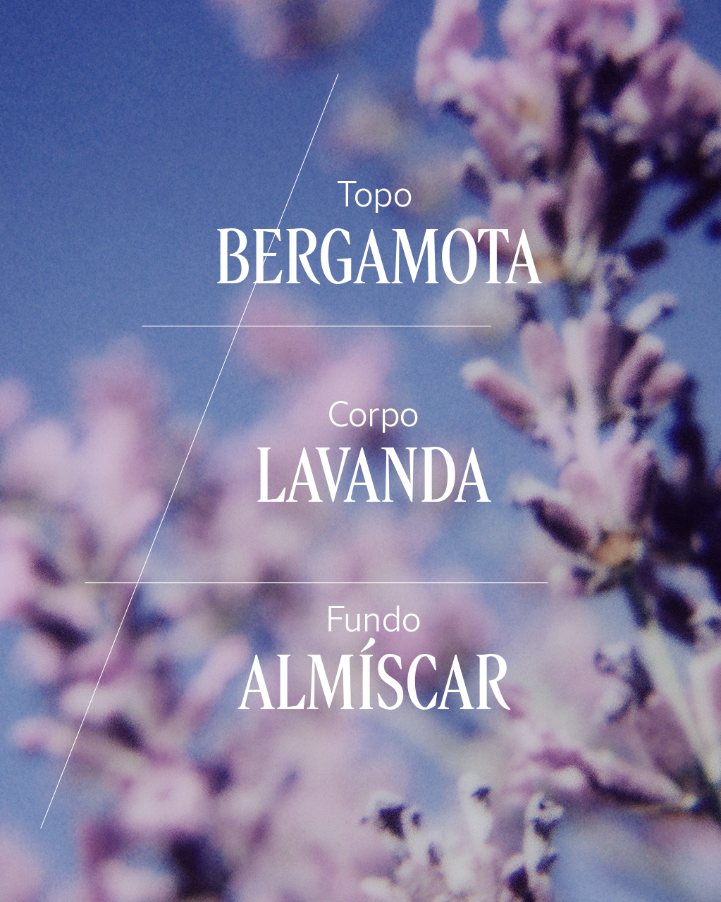 Desodorante Col&ocirc;nia de Lavanda, , large